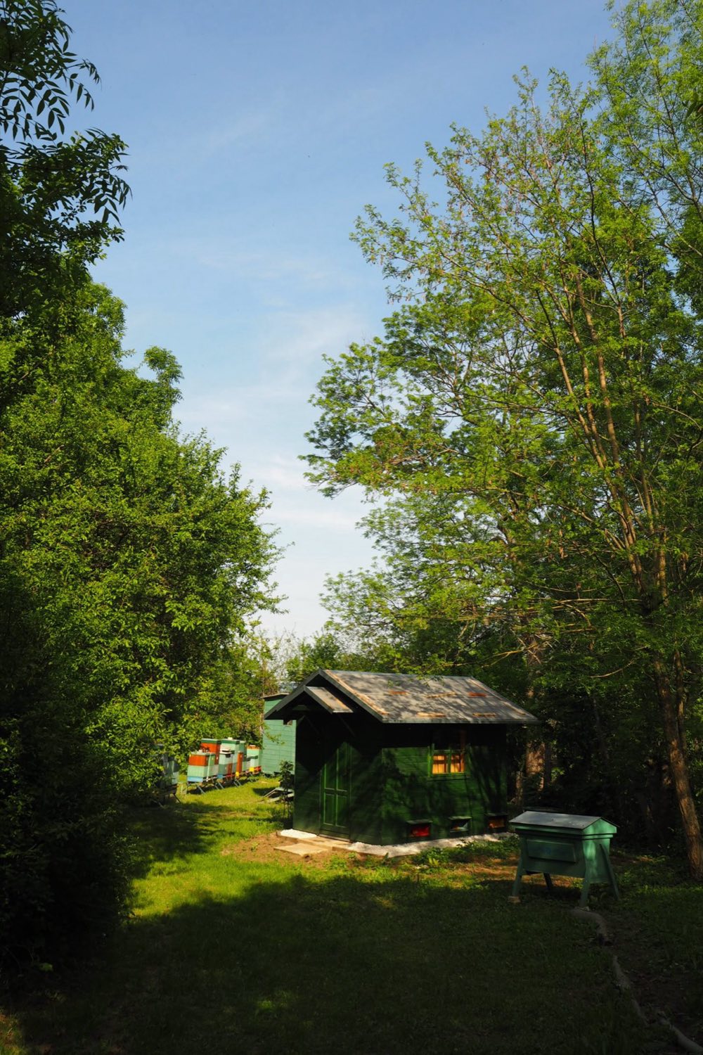API domček